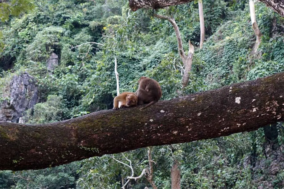 Golden Triangle Explorer Cycle Tour 3 Days